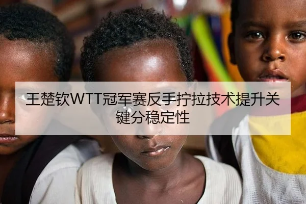 王楚钦WTT冠军赛反手拧拉技术提升关键分稳定性