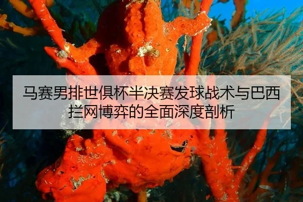 ma-sai-nan-pai-shi-ju-bei-ban-jue-sai-fa-qiu-zhan-shu-yu-ba-xi-lan-wang-bo-yi-de-quan-mian-shen-du-pou-xi-2-850.jpg