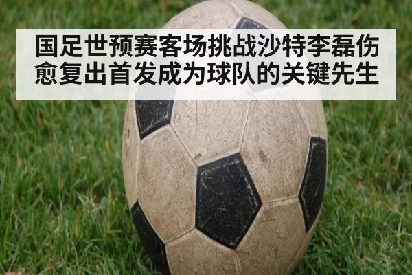国足世预赛客场挑战沙特李磊伤愈复出首发成为球队的关键先生