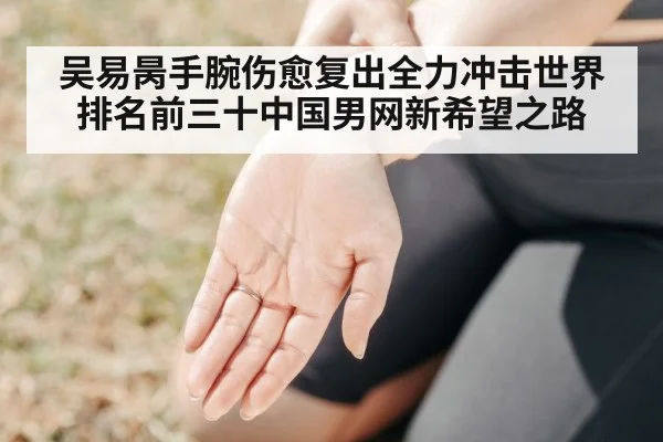 吴易昺手腕伤愈复出全力冲击世界排名前三十中国男网新希望之路