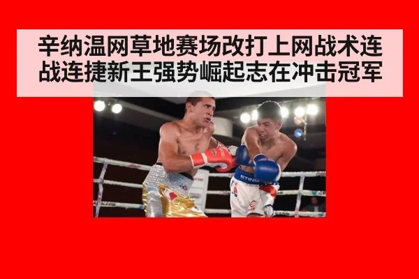 辛纳温网草地赛场改打上网战术连战连捷新王强势崛起志在冲击冠军